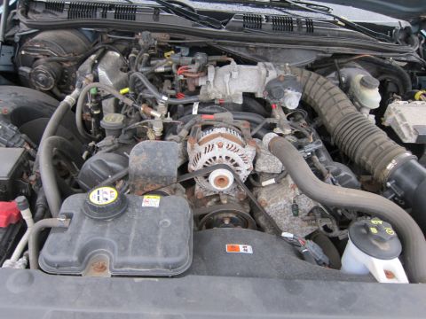 2001 Ford Crown Victoria - Engine bay of a 2001 Ford Crown Victoria, showing the V8 engine components and fluids.