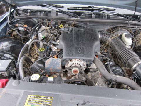 2001 Ford Crown Victoria - Engine bay of a 2001 Ford Crown Victoria, showing the engine and surrounding components with grass and debris.