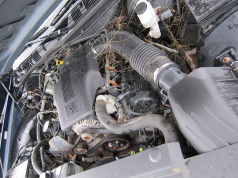 2001 Ford Crown Victoria - The engine bay is cluttered with debris, obscuring many of the components.