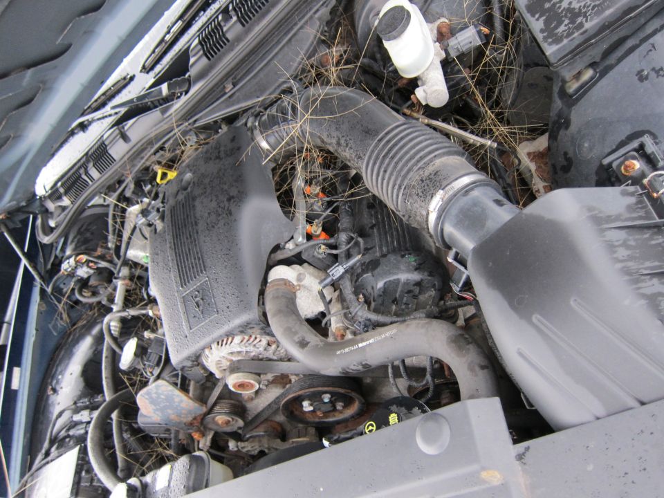Engine bay filled with dry grass and leaves. Shows air intake tube, alternator, and hoses