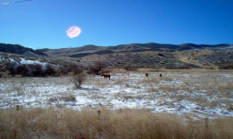 1988 Ford Bronco - Frazier Park 12/26/03... Cool picture of some horses.