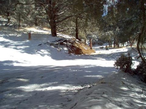 1988 Ford Bronco - Frazier Park 12/26/03... Pic of me on the Sled of Death.