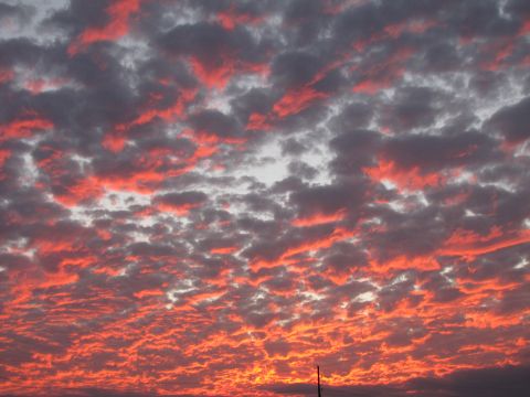 1995 Ford Bronco - The image shows a sky filled with dramatic clouds illuminated by the warm colors of a sunset or sunrise. The clouds are a mix of dark gray…