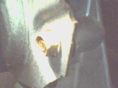 1990 Ford Bronco - The third bolt clearly visible but you still need to use a speed or box wrench to remove it.
