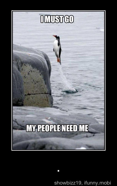 2013 Ford Mustang - A penguin leaps into the water, with text overlay stating 'I MUST GO MY PEOPLE NEED ME'.
