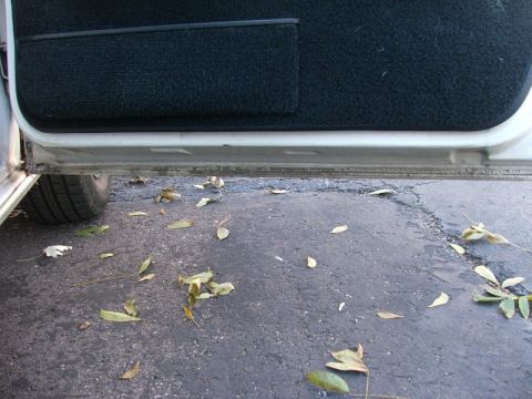 1988 Ford Crown Victoria LTD - View of a car's interior door panel and the ground outside, covered in fallen leaves.