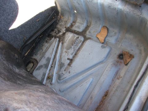 1988 Ford Crown Victoria LTD - The trunk floor of a car shows dirt, leaves, and a black trim piece.