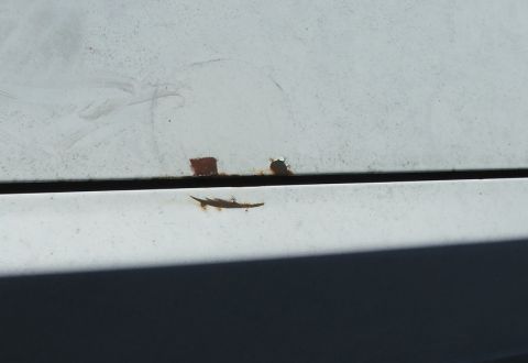 1988 Ford Crown Victoria LTD - Close-up of rust forming on a white car's body panel, indicating wear and potential damage.