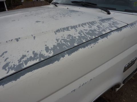 1991 Ford F-350 - The paint on this truck's hood is severely weathered, revealing the primer below.