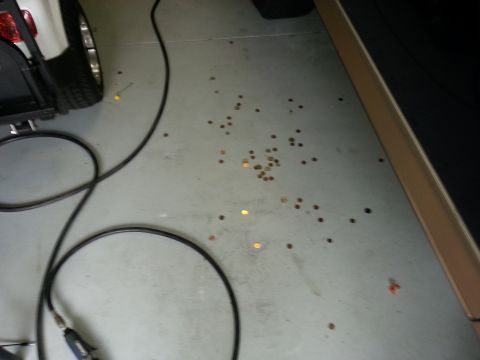 1994 Ford Bronco - Coins are scattered on the garage floor next to a black cable and a portion of a white vehicle.
