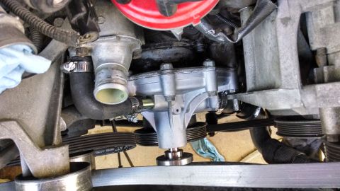 1995 Ford Bronco - Close-up view of an engine's water pump, hoses, and drive belts.