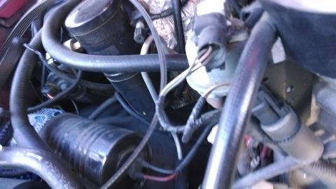 1995 Ford Bronco - Close-up view of an engine compartment, showing various hoses and electrical components.