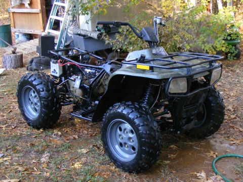 Green ATV with exposed engine components and a "250" decal on the front panel