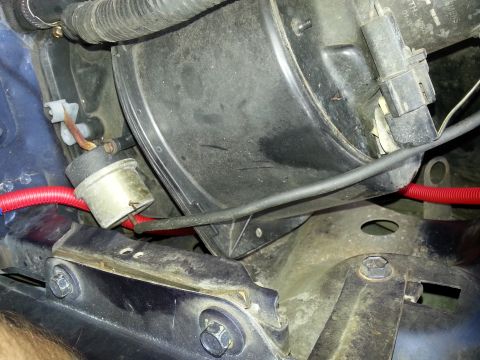 1994 Ford Bronco - Close-up view of engine bay components, including wiring and a black plastic housing.