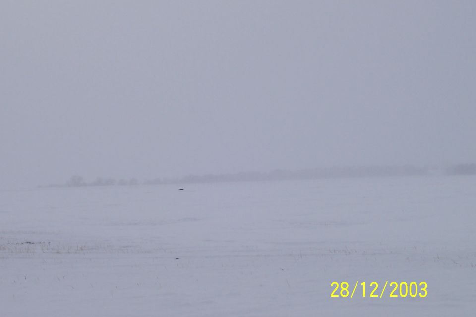 Snowy field on an overcast day with a distant tree line and a 2003 date stamp