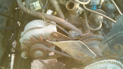 1979 Ford Bronco - Close-up of engine components including alternator and fan, with visible signs of wear.