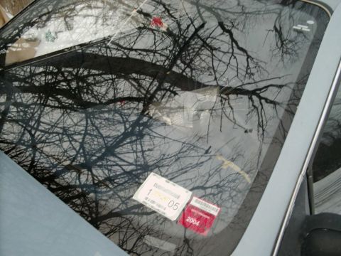 1986 Ford Taurus - The windshield and dashboard i broke with my face and head