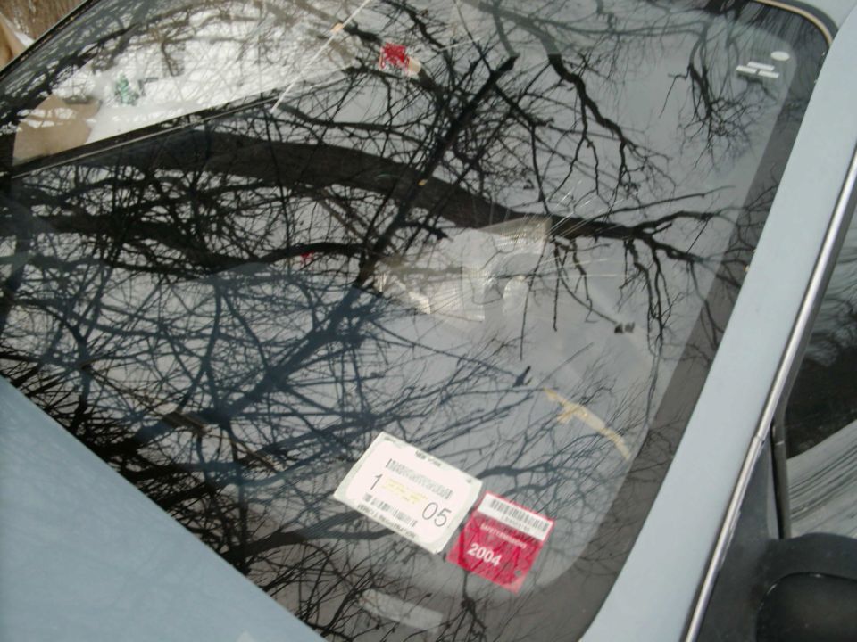 Windshield close-up with NY inspection and red 2004 registration stickers, tree reflections on glass