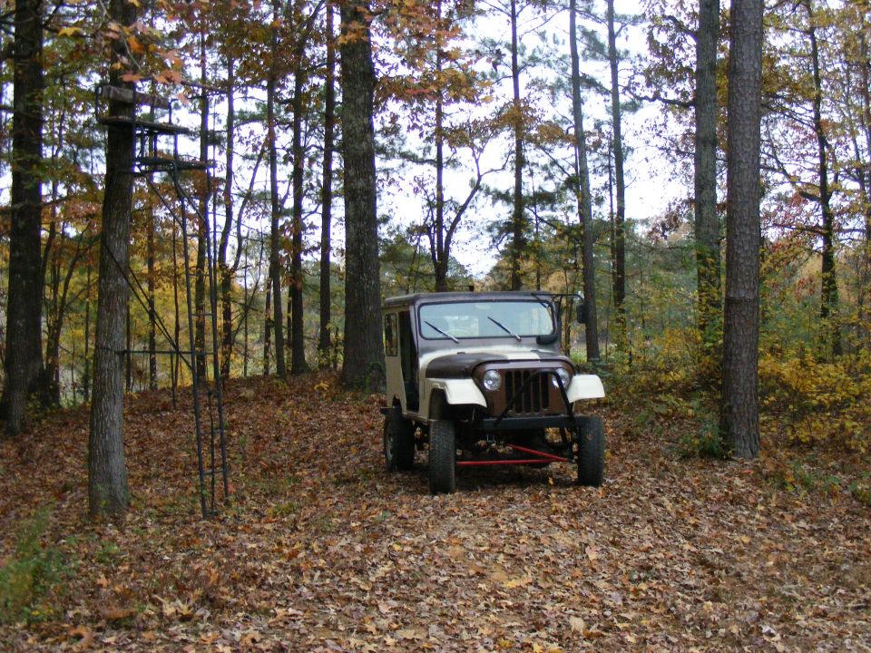 Tan and brown Jeep CJ parked in a forest with fallen leaves.