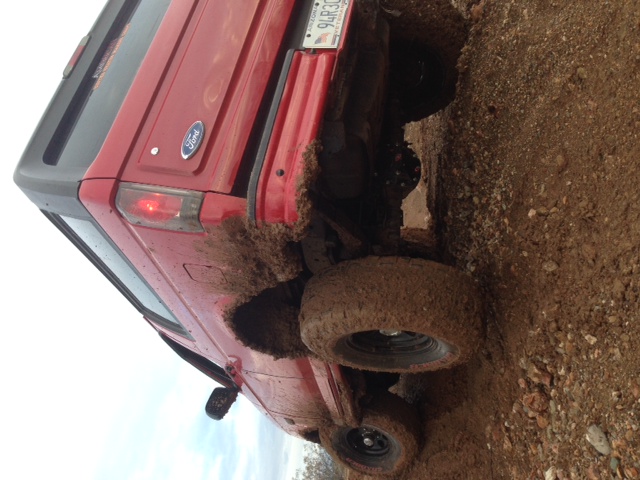 Red Ford Bronco stuck in mud, rear view. License plate 9AR306