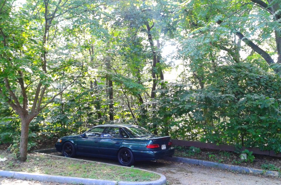 Dark green sedan parked under trees, black wheels, rear spoiler