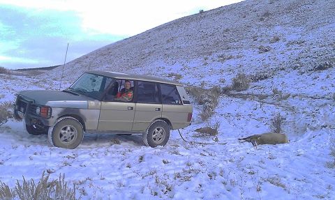 1991 Land Rover Range Rover “Beast”