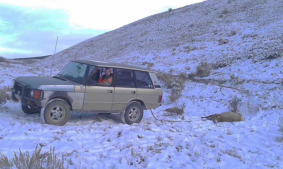 1991 Land Rover Range Rover towing a dead elk in the snow