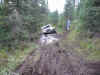 1979 Ford Bronco - An ATV navigates a difficult muddy trail in a wooded area.