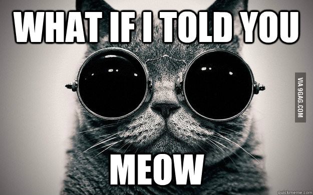 Cat wearing round sunglasses with text 'WHAT IF I TOLD YOU MEOW' and 'VIA 9GAG.COM' watermark