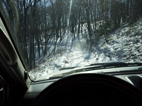 2003 Nissan Frontier - Driving through a snowy forest road, sunlight filtering through the trees.
