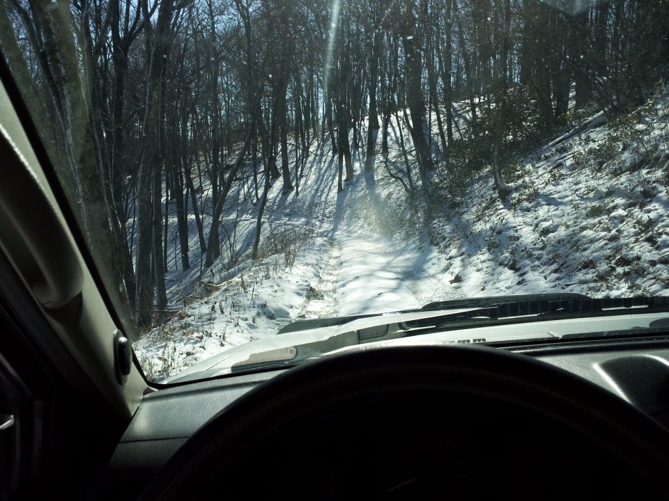 View from inside a vehicle looking out at a snow-covered forest road. Sunlight streams through the trees, casting long shadows