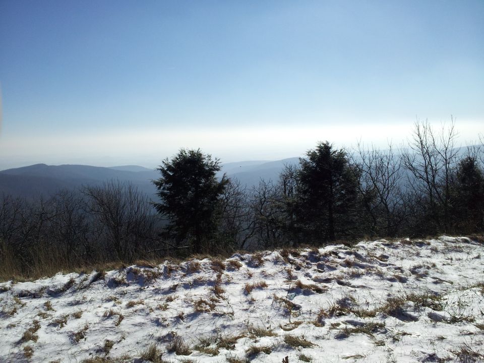 Snow-covered ground with dry grass and trees on a hillside overlooking mountains under a hazy blue sky