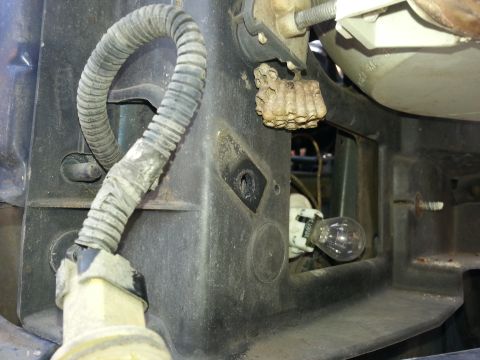 1994 Ford Bronco - A wasp nest is visible above a headlight bulb and wiring harness, suggesting a potential issue with the vehicle's lighting system.
