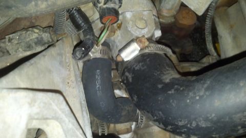 1993 Ford Bronco - Close-up view of engine hoses and electrical connectors, with some text visible on one of the hoses.