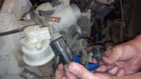 1993 Ford Bronco - Hands disconnect electrical connectors from engine components.