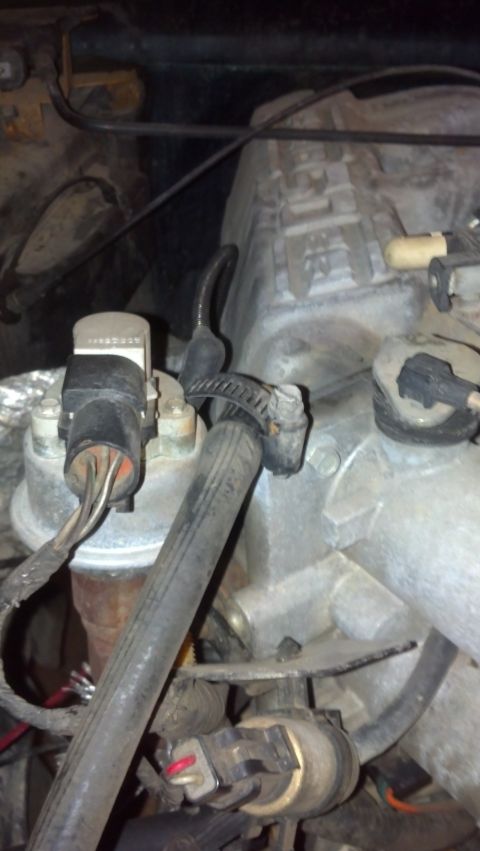 1993 Ford Bronco - Close-up view of engine components including a distributor and hoses.