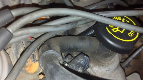 1993 Ford Bronco - Close-up view of engine components, including hoses, wires, and an oil cap.