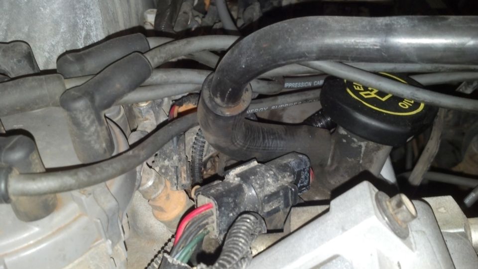Engine bay with spark plug wires, hoses, and an oil cap