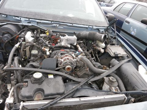 1991 Ford LTD Crown Victoria - The engine bay of a 1991 Ford Crown Victoria LTD is visible, with another police car parked closely behind.