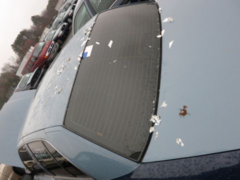 1991 Ford LTD Crown Victoria - The rear of a blue sedan is visible, with a close-up on the roof and rear window, surrounded by other vehicles in a lot.