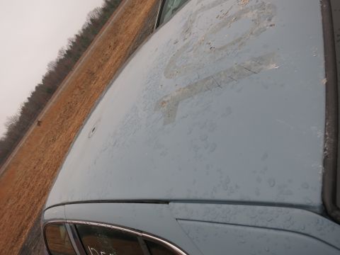 1991 Ford LTD Crown Victoria - The hood of a light blue car shows faded numbers, including '10' and 'DE5', against a backdrop of a field and trees.