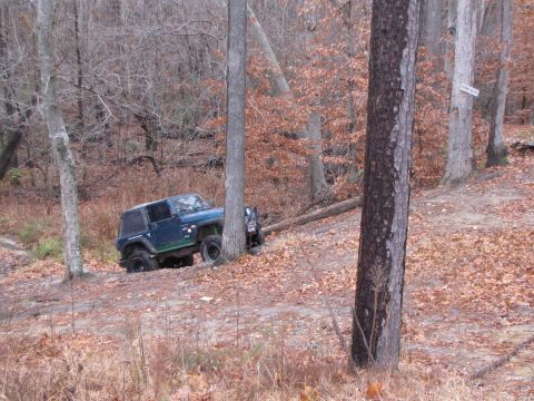 1979 Ford Bronco - A blue Jeep Wrangler is seen off-roading through a wooded area with fallen leaves on the ground.