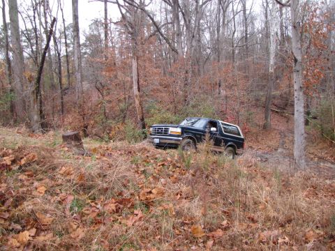 1979 Ford Bronco - A dark blue Ford Bronco is parked on a muddy trail surrounded by trees in autumn.