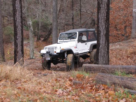 1979 Ford Bronco - White Jeep Wrangler off-roading on a wooded trail with fallen leaves on the ground.