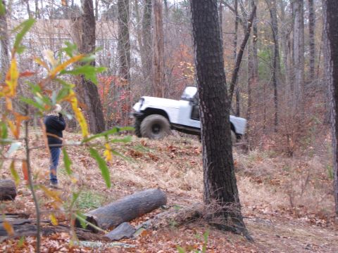 1979 Ford Bronco - Off-road vehicle navigating a steep, wooded incline with fallen leaves on the ground.