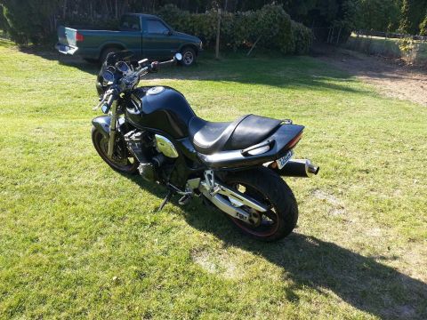 1998 Suzuki Bandit - Motorcycle on grass with a pickup truck in the background.