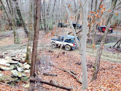 1979 Ford Bronco - Multiple off-road vehicles navigate a challenging path through a forest during autumn.