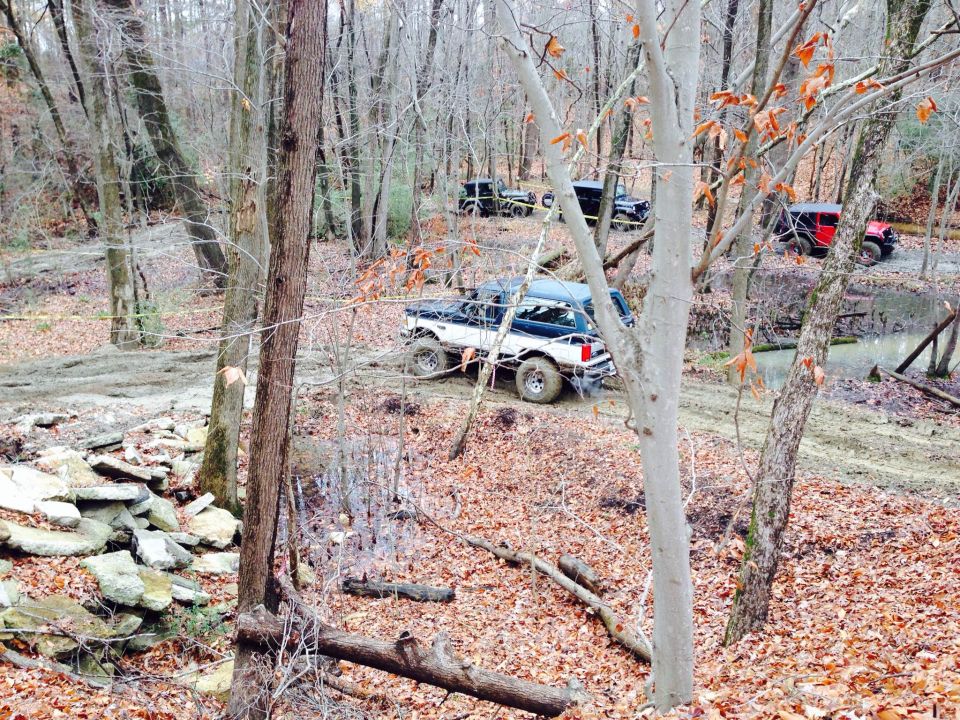 Several off-road vehicles driving through a muddy, wooded area with fallen leaves