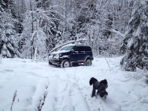 1987 Ford Bronco - SUV stuck in snow with a dog in a winter forest scene.