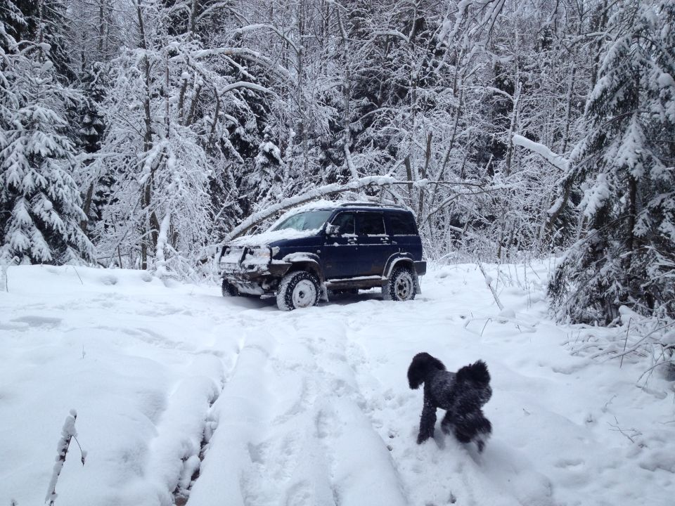 Dark blue SUV with off-road tires stuck in deep snow, a black poodle-like dog stands nearby in a snowy forest